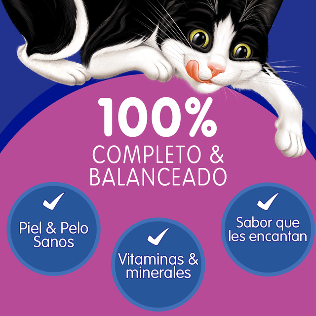  Felix Fantastic Mix Salmon Y Carne 85Gr