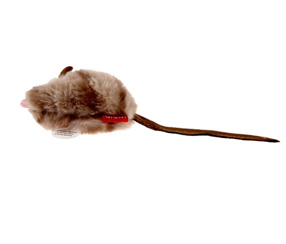 Gigwi Melody Chaser Raton
