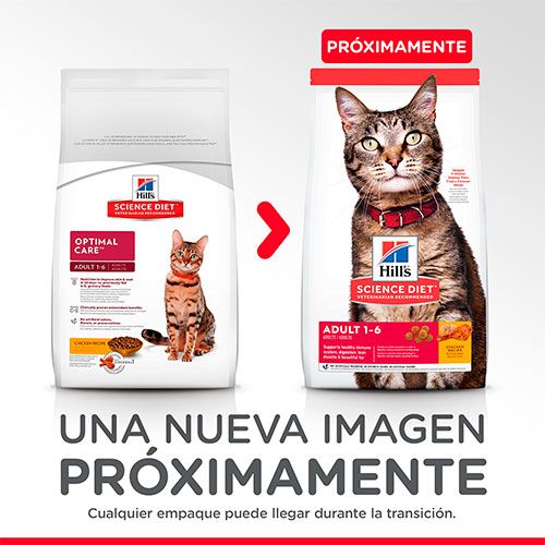 Hills Cat Adult 1 6 3 17Kg