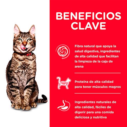 Hills Cat Adult Indoor 7 1 58Kg