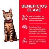 Hills Cat Adult Light 1 81Kg
