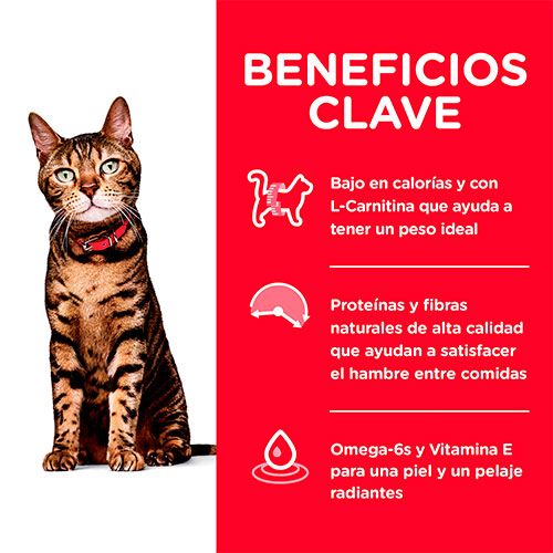 Hills Cat Adult Light 1 81Kg