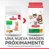 Hills Cat Kitten 1 58Kg