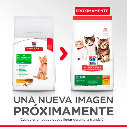 Hills Cat Kitten 1 58Kg