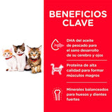 Hills Cat Kitten 1 58Kg