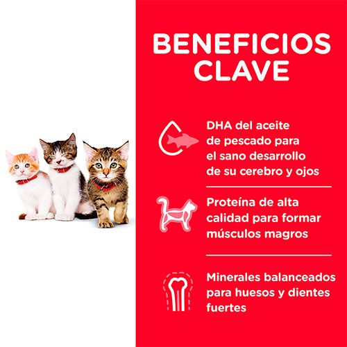 Hills Cat Kitten 3 17Kg