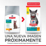 Hills Cat Kitten Indoor 1 58Kg