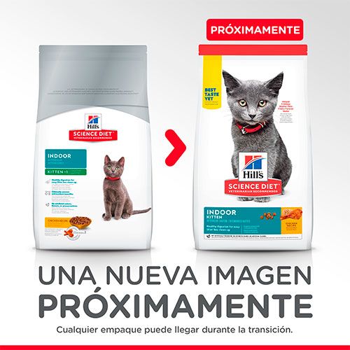 Hills Cat Kitten Indoor 1 58Kg