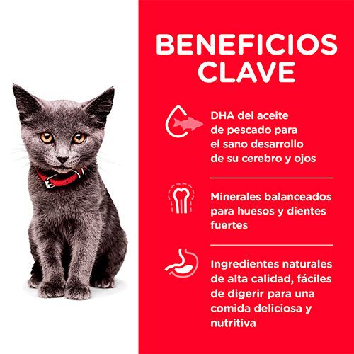 Hills Cat Kitten Indoor 1 58Kg