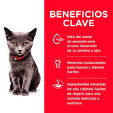 Hills Cat Kitten Indoor 3 17Kg