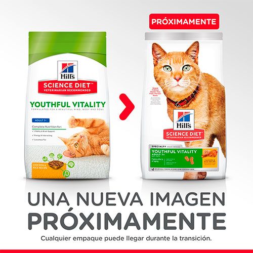 Hills Cat Youthful Vitality 7 1 36Kg
