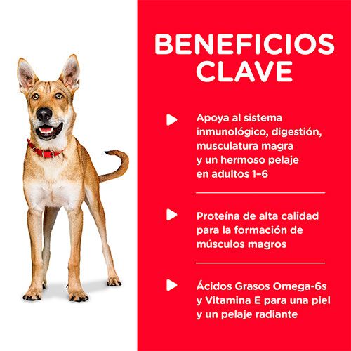 Hills Dog Adulto Pollo Y Cebada 370Gr