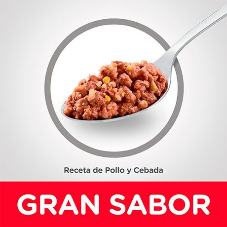 Hills Dog Adulto Pollo Y Cebada 370Gr