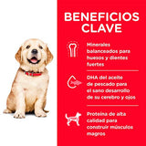 Hills Dog Puppy Large 13 6Kg