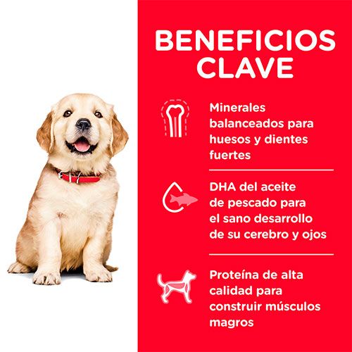 Hills Dog Puppy Large 13 6Kg