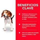 Hills Dog Puppy Pollo Y Cebada 370Gr Pack 12 Unidades