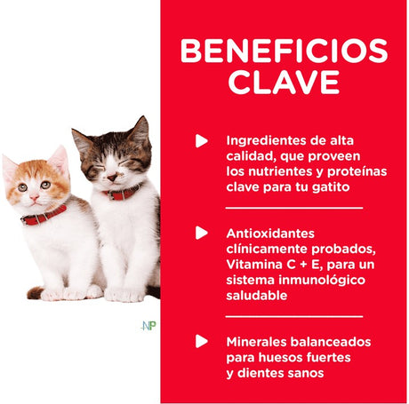 Hills Lata Cat Kitten Receta De Higado De Pollo 156Gr