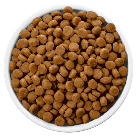 Hills C D Canino Urinary 1 5Kg