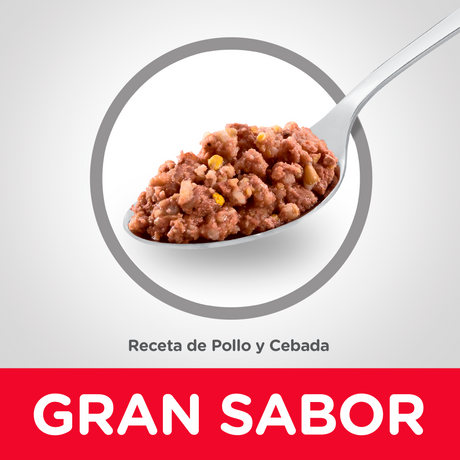 Hills Dog Adulto Pollo Y Cebada 370Gr X 12 Unidades