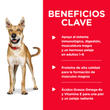 Hills Dog Adulto Pollo Y Cebada 370Gr X 12 Unidades