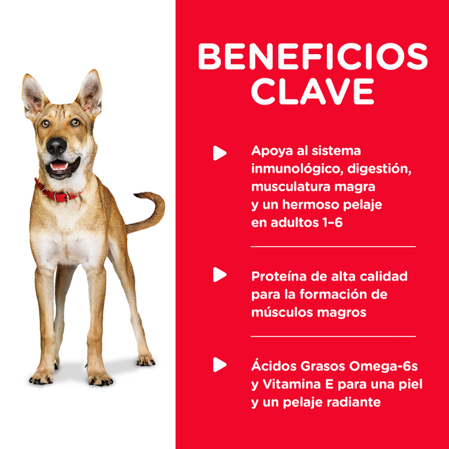 Hills Dog Adulto Pollo Y Cebada 370Gr X 12 Unidades
