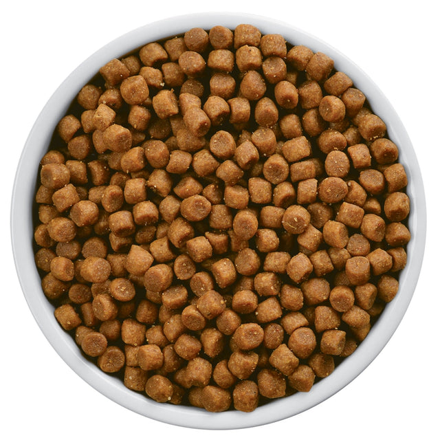 Hills S D Felino Urinary 1 8Kg