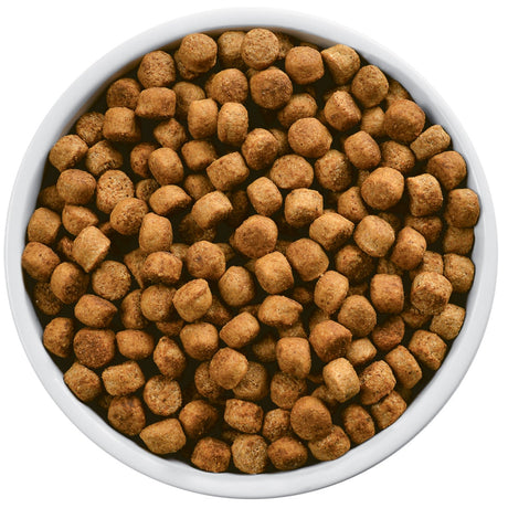 Hills Z D Canino Hipoalergenico 3 6Kg