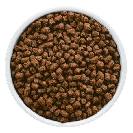 Hills Z D Felino Hipoalergenico 1 8Kg