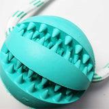 Juguete Pelota Beisbol Dental Con Ventosa Y Cuerda