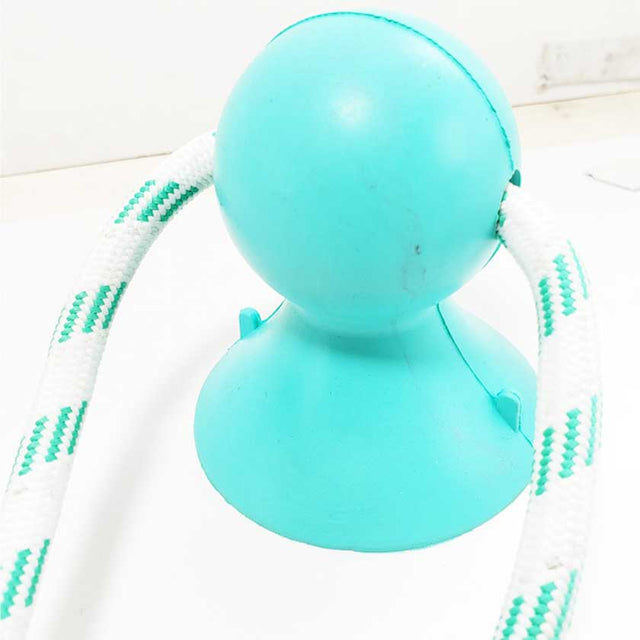Juguete Pelota Beisbol Dental Con Ventosa Y Cuerda