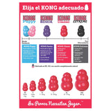  Kong Classic Medium