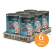 Lata Leonardo Quality Selection Kitten 400Gr X 6 Unidades