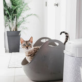 Litter Box Bandeja Sanitaria Con Pala Para Gatos