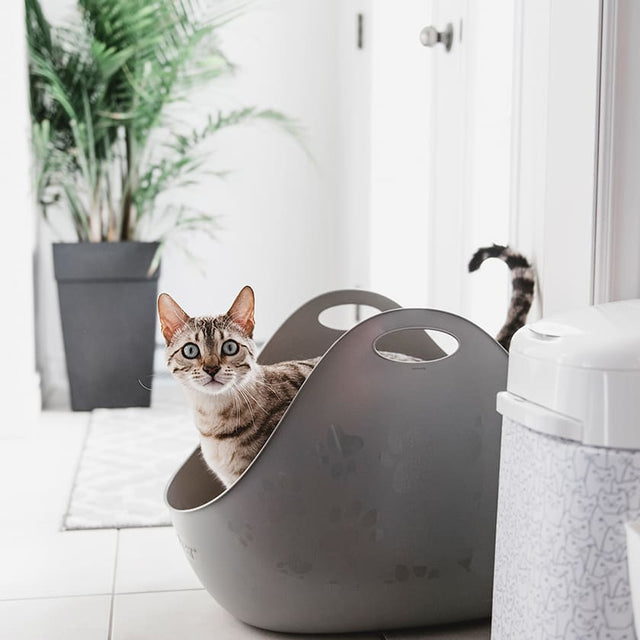 Litter Box Bandeja Sanitaria Con Pala Para Gatos