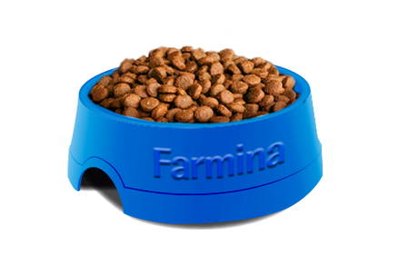 Comida para Gatos Matisse Gatitos Filhotes Gatitos 7 5Kg