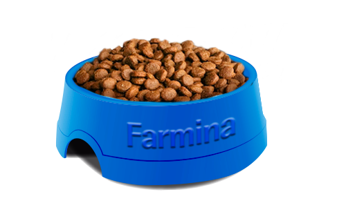  Matisse Gatos Adultos Salmon Y Arroz 2Kg