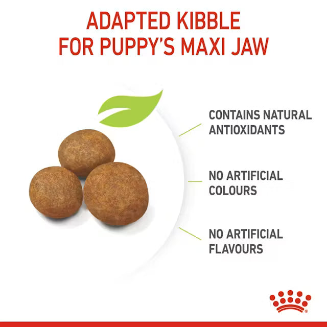  Royal Canin Maxi Puppy 4Kg