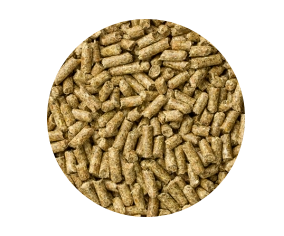 Mazuri Mazuri Cobayo Cuy 1Kg