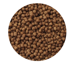  Mazuri Tortuga Acuatica Turtle Diet 340Gr