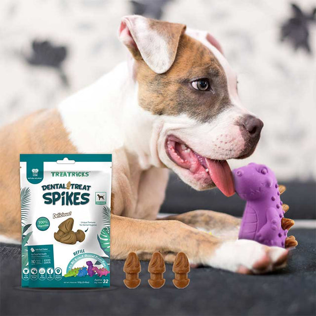  Natura Nourish Snack Dental Treat Spikes Repuesto 183Gr