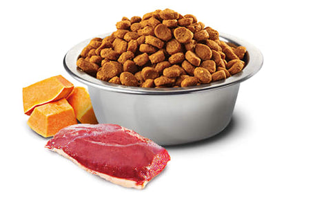 Comida para Gatos Natural And Delicious Pumpkin Pato Felino Adulto 1 5Kg