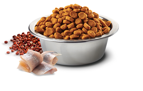 Natural And Delicious Quinoa Feline Skin Coat Arenque 1 5Kg