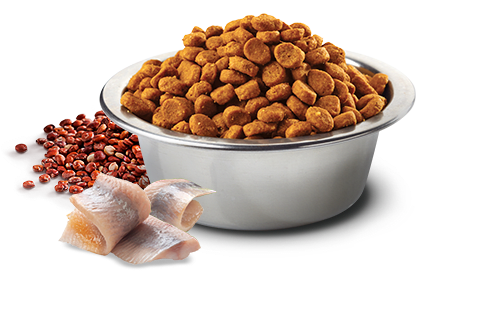 Natural And Delicious Quinoa Feline Skin Coat Arenque 1 5Kg