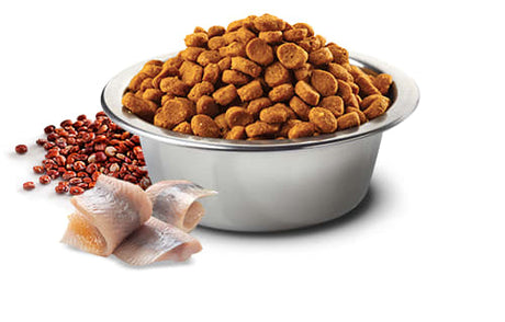 Natural And Delicious Quinoa Skin Coat Arenque Para Perros 2 5Kg