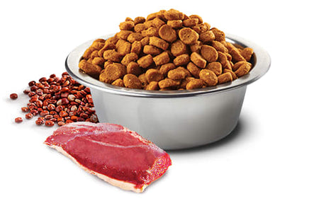 Natural And Delicious Quinoa Skin Coat Pato Para Perros 10Kg