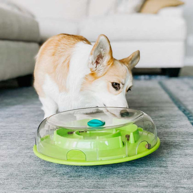 Nina Ottosson Perros Wobble Bowl Nivel 1