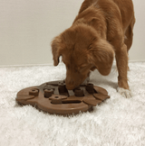  Nina Ottosson Puzzle Hide N Slide Composite Nivel 2 Para Perros