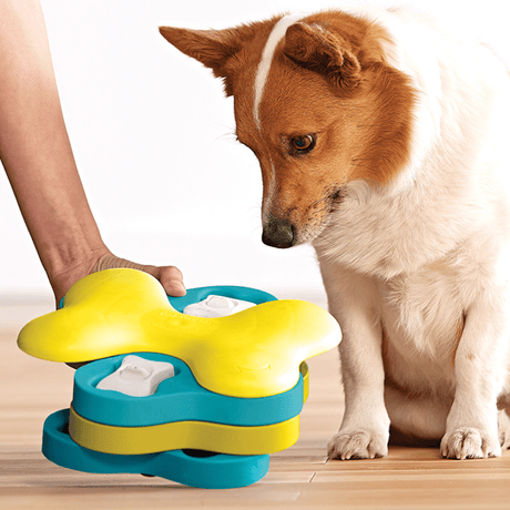 Nina Ottosson Nina Ottosson Puzzle Tornado Nivel 2 Para Perros