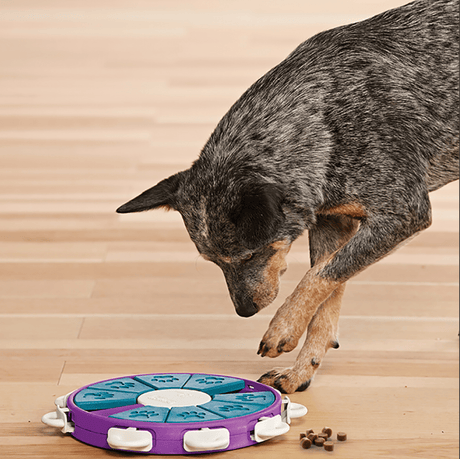 Nina Ottosson Nina Ottosson Puzzle Twister Nivel 3 Para Perros