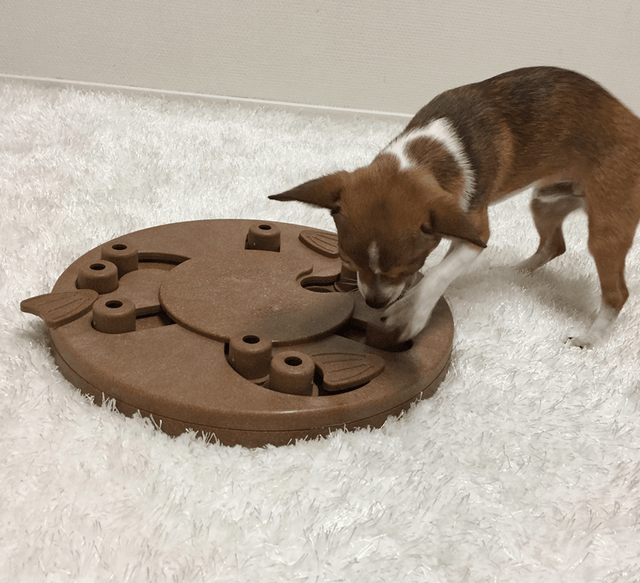 Nina Ottosson Puzzle Worker Composite Nivel 3 Para Perros